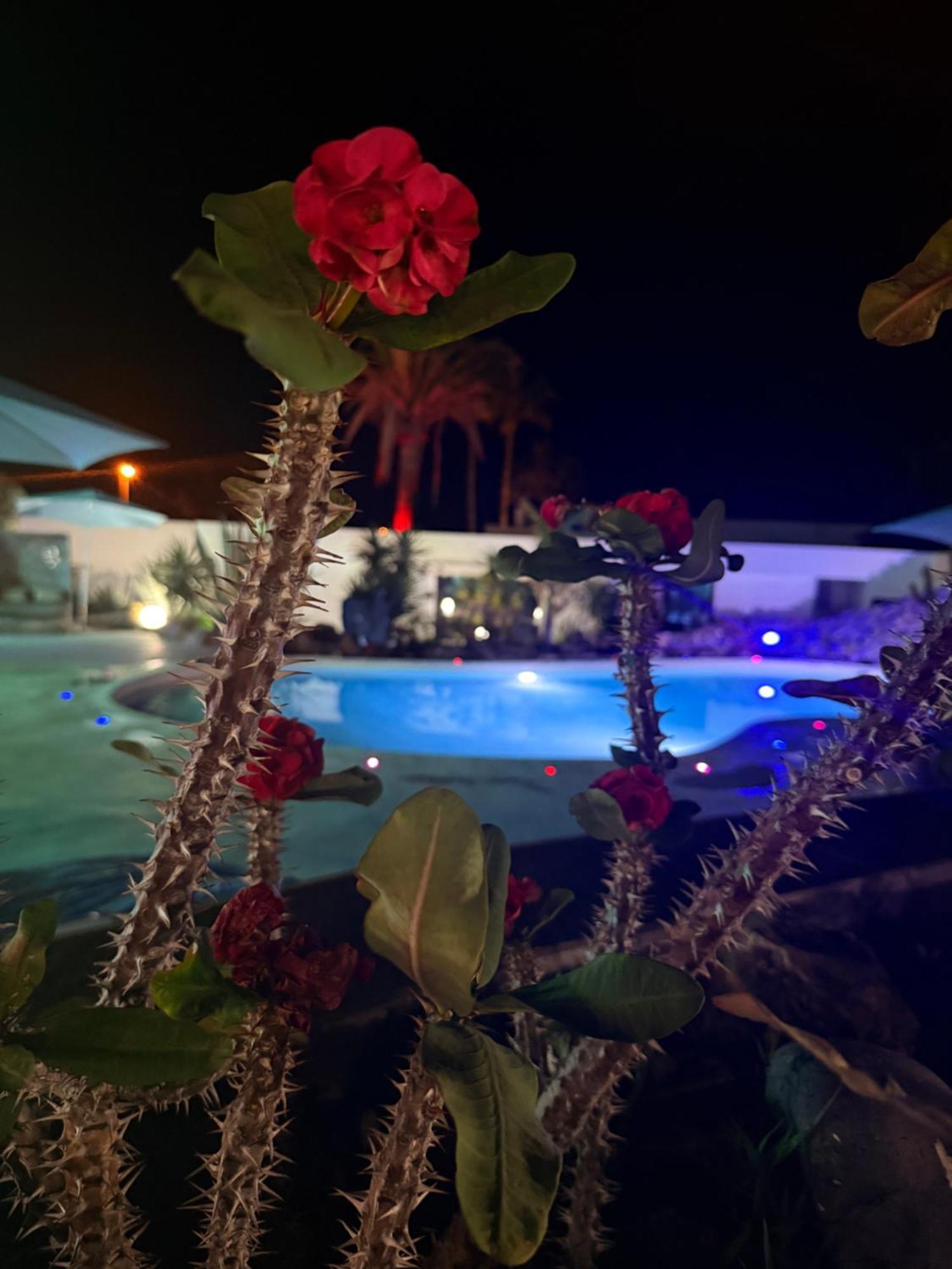 Paraiso Villas بلايا بارايسو المظهر الخارجي الصورة